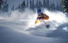 B体育平台：里沙利松吊射技惊四座，绝妙弧线铸就经典胜利